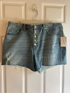 Universal Thread Light Blue High-Rise Button Denim Shorts